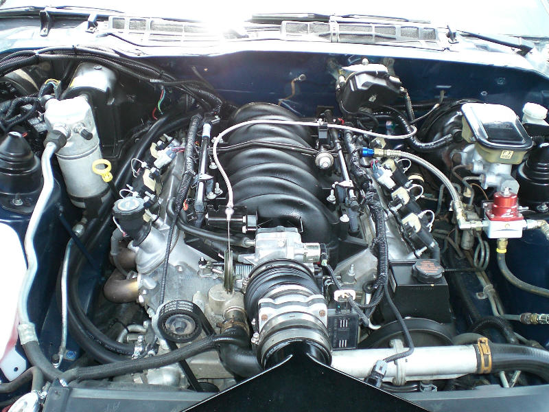 brianls1-8.jpg